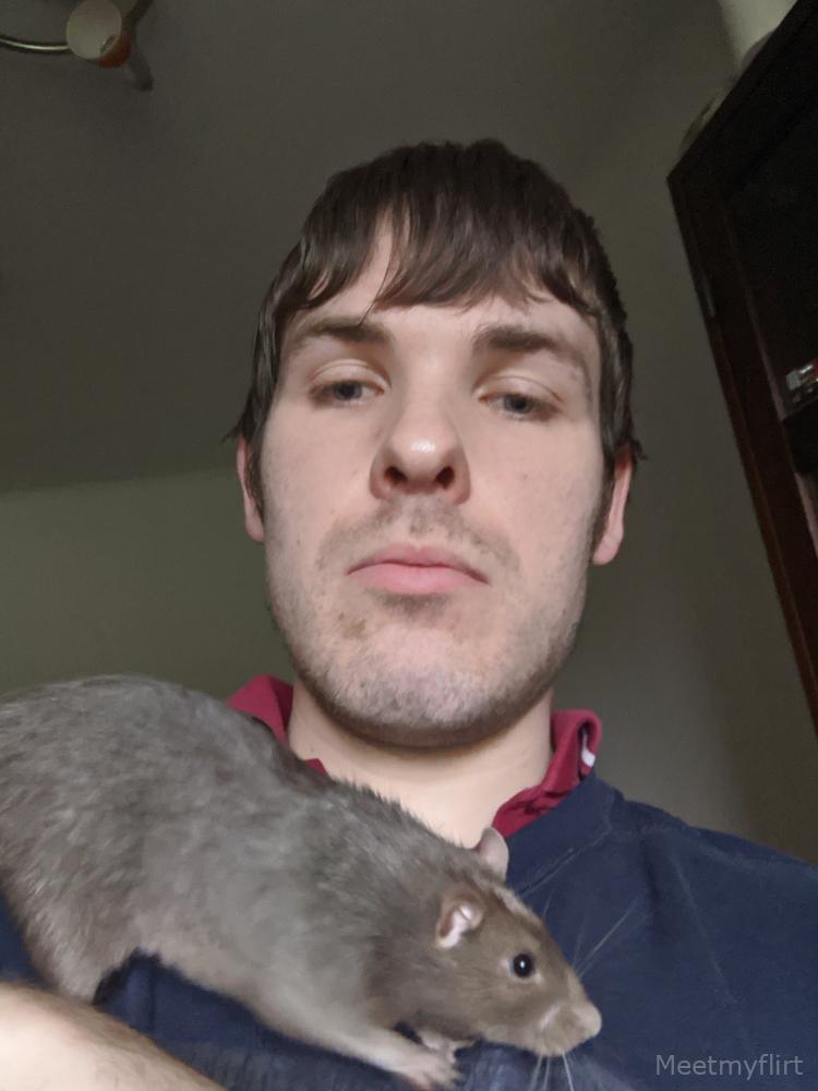 Profilbild